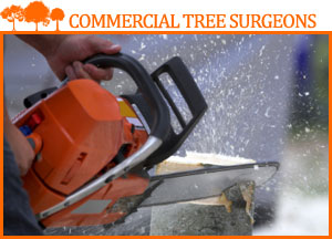 chainsaw cutting a tree in winter