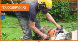 tree surgeon cutting a tree stump with a chainsaw