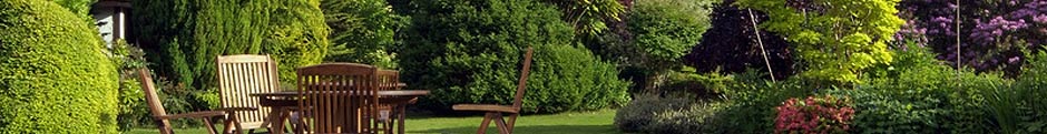 private garden with trees, table and chairs