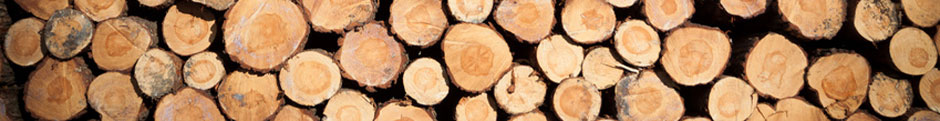 pile of tree stumps on top of each other
