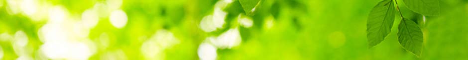 green leaves